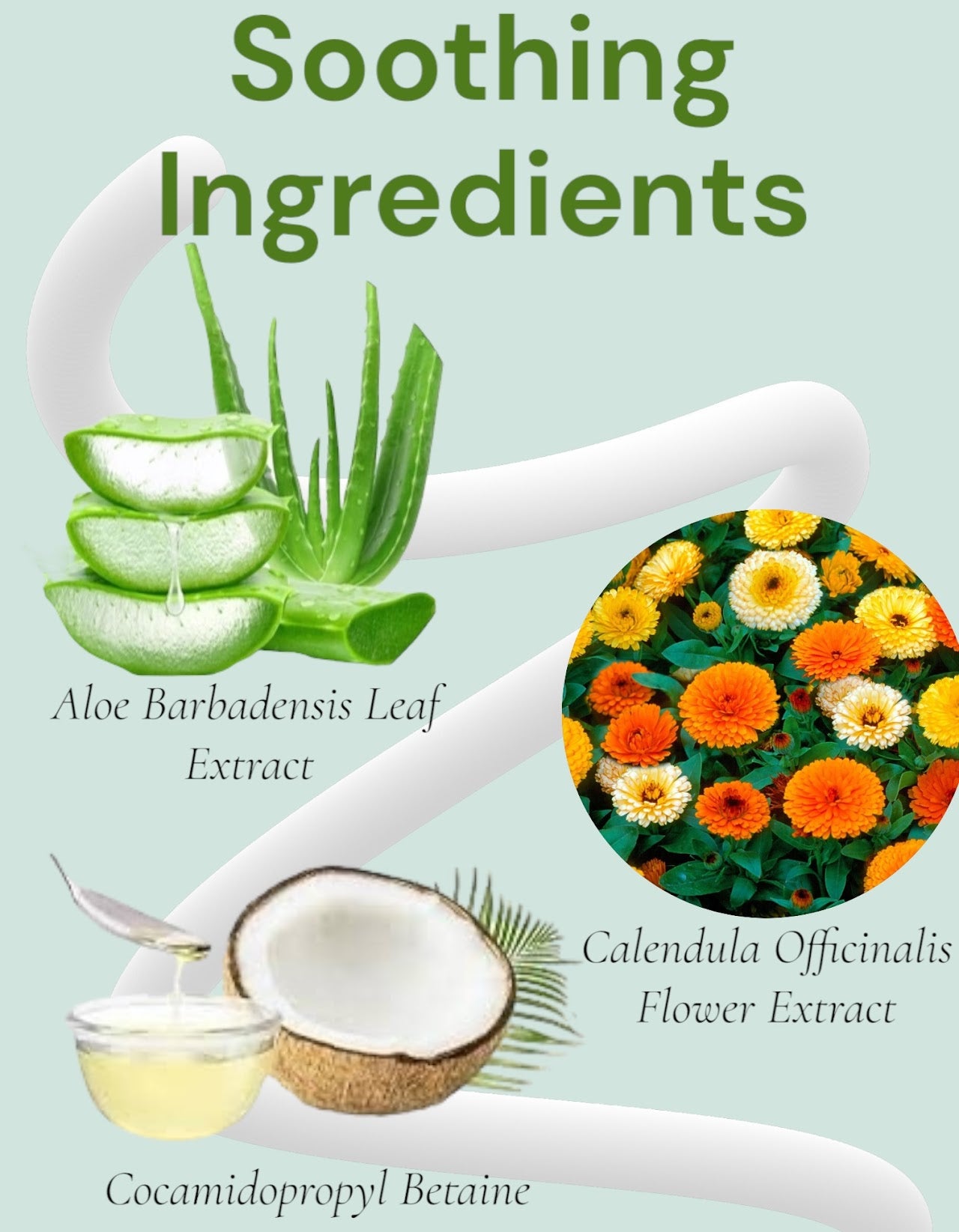 Aloe Body Wash (With Hyaluronic Acid)